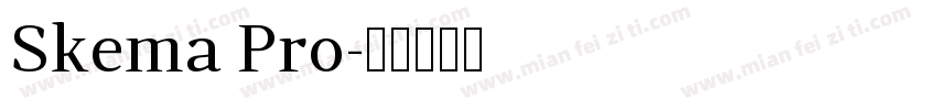 Skema Pro字体转换